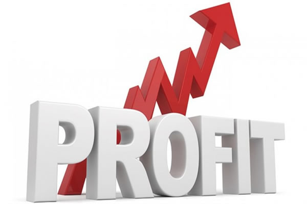 Text that says profit in regards to The Benefits of White Label Marketing