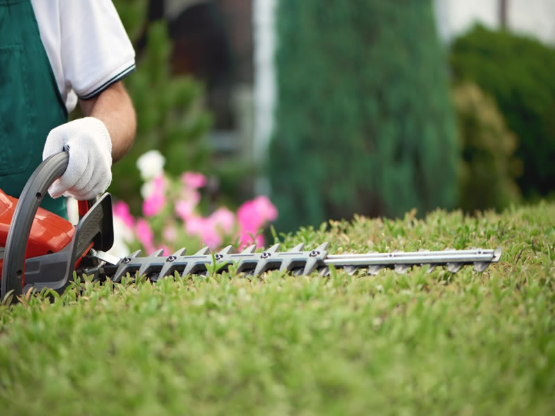 6 Marketing Tips for Landscaping Companies