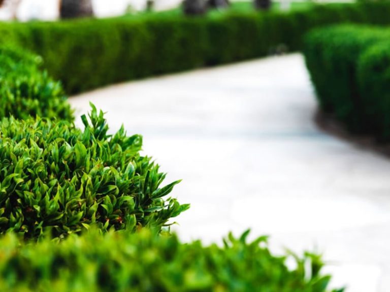 Marketing Strategy for Commercial Landscaping