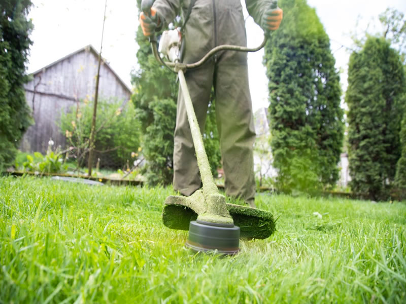 Marketing Tips for Lawn Care Companies