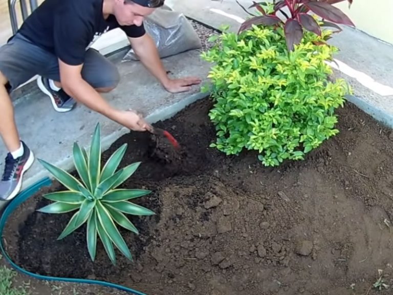 Videography for Landscaping Companies